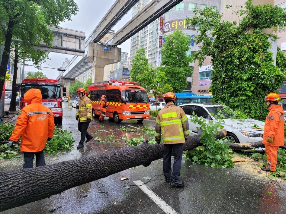 비 주춤하니 강풍…대구서 나무가 차량 덮치고 축대 무너지고(종합)