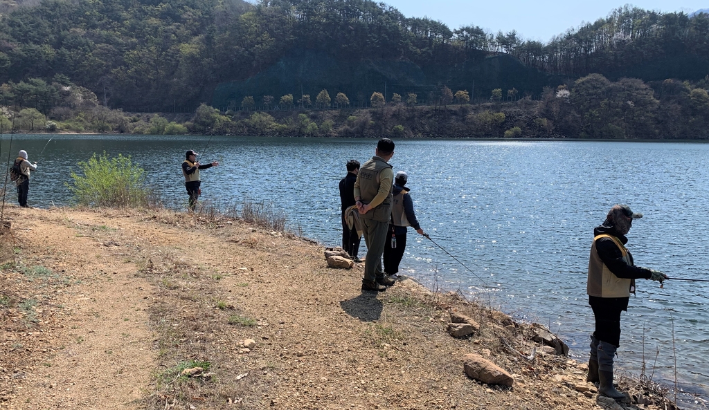 속리산 저수지 골칫거리 큰입배스…낚시객 투입해 포획