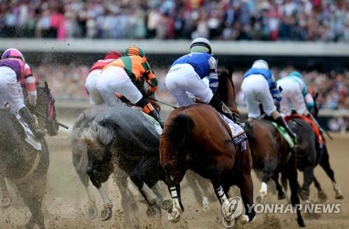 달리던 말 7마리 죽어나갔는데…美최대 경마 축제서 떼죽음 논란