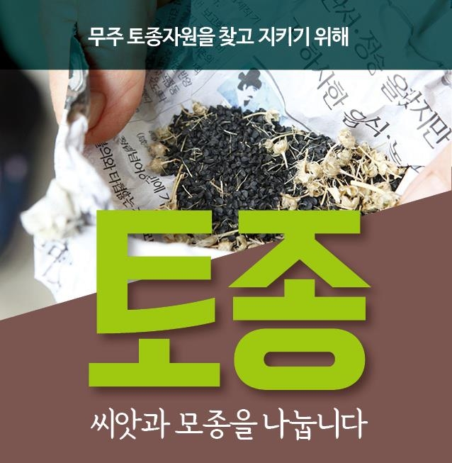 무주군 "토종 농산물 모종 6천주 나눠드려요"