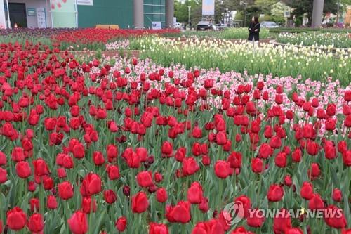 "집단이라는 욕망, 그 환상에서 벗어나라"…신간 '집단 착각'