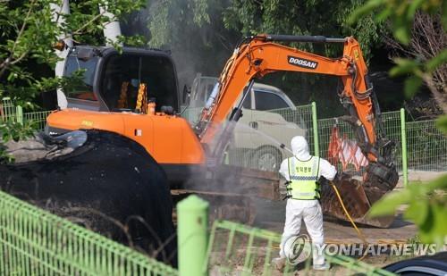 4년여만에 국내서 구제역 발생…청주 한우 사육농가 세곳(종합2보)