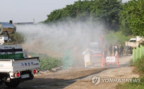 "구제역 확산 막아라" 청주 인접한 보은군도 방역 고삐