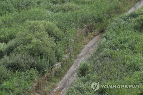 돼지열병·AI·화상병에 구제역까지…충북 동식물 감염병 사투