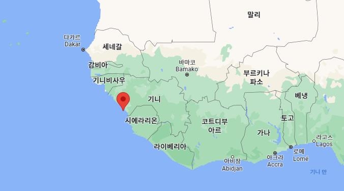 서아프리카 기니서 경찰-야권 시위대 충돌…"7명 사망"