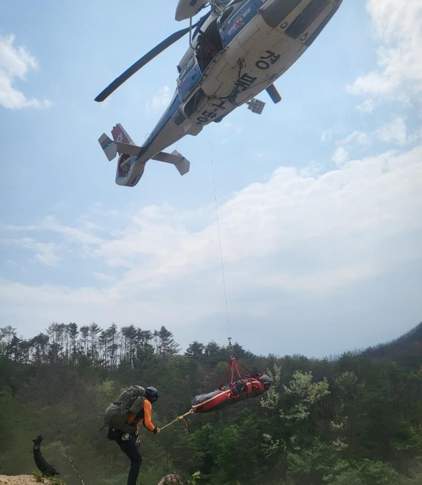 경북 울진·봉화서 벌목 작업 중 사망 사고 잇따라