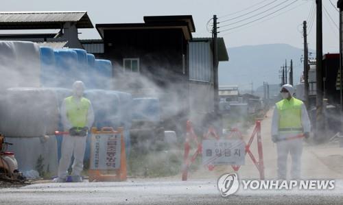 청주 구제역 역학농장 251곳 달해…"정밀검사 진행중"