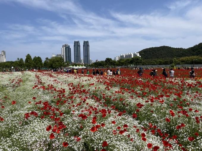 6천만 송이 '활짝'…태화강 국가정원 봄꽃축제 19∼21일 개최