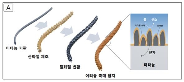 "그린수소 만들 수전해장치에 귀금속 사용량 대폭저감 기술개발"