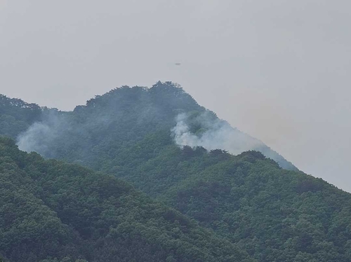 철원서 포사격 훈련 중 산불…2시간 만에 진화(종합)