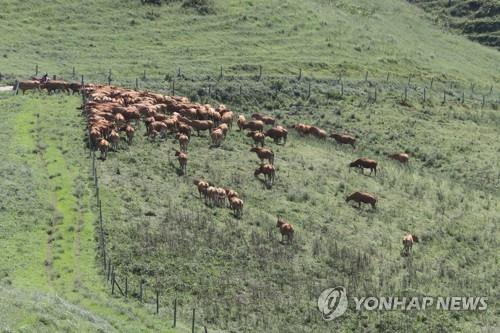 '가축재해보험' 가입한 익산 농가 86% 수혜…경영에 보탬