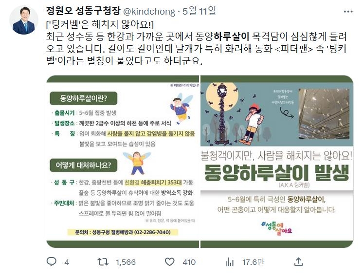 습격은 당신들이…'팅커벨' 동양하루살이를 위한 변명