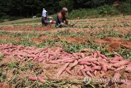 익산시 고향사랑기부금 '쑥쑥'…월평균 1억원 기탁