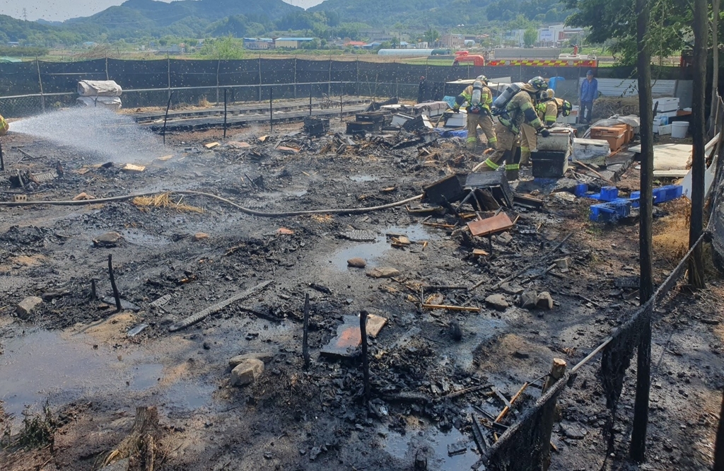 괴산 양봉장서 불…벌통 120여개 불타