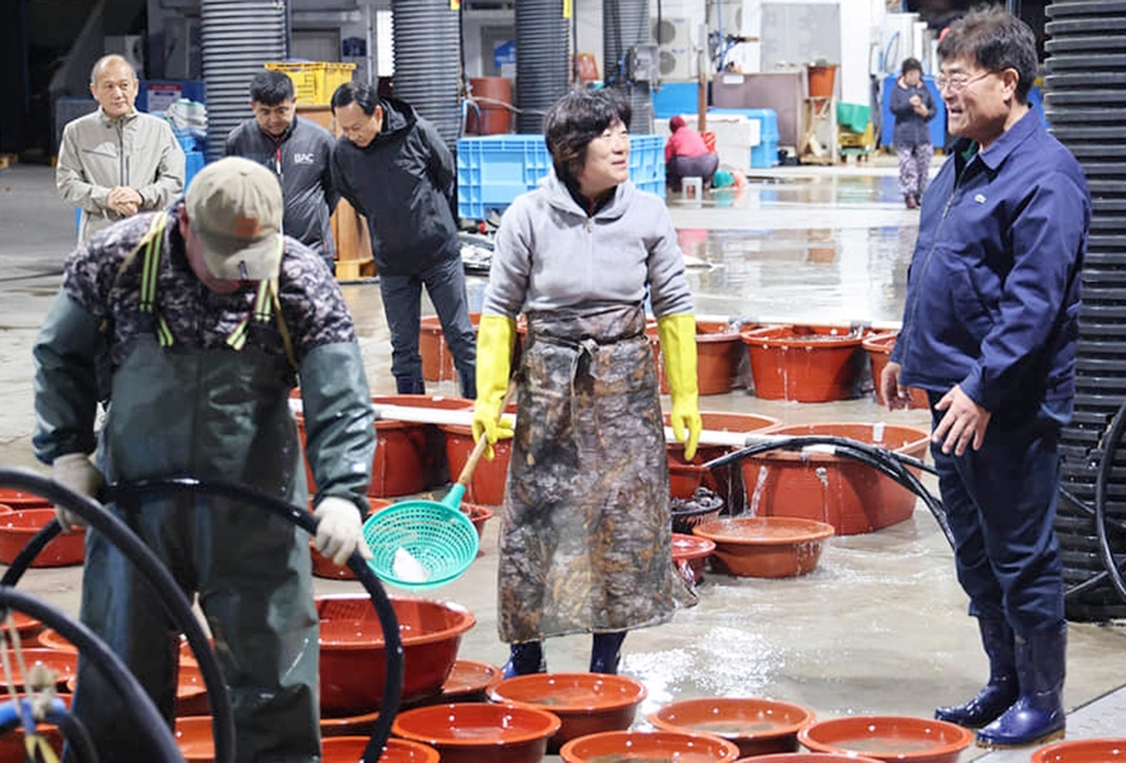 삼척시 "비화마을, 꽃 날리는 어촌으로 만들겠다"