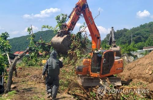 충북 과수화상병 확산세 지속…충주·제천서 4건 추가돼 총 27건