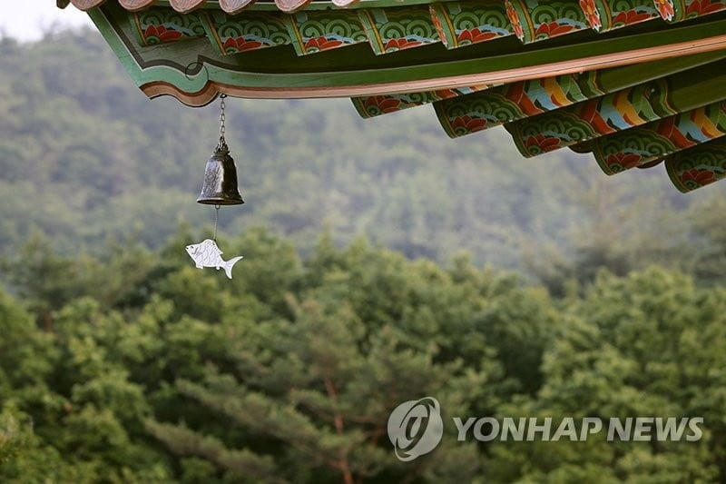 법주사 등 65개 사찰 오늘부터 무료입장…해인사·법주사 등