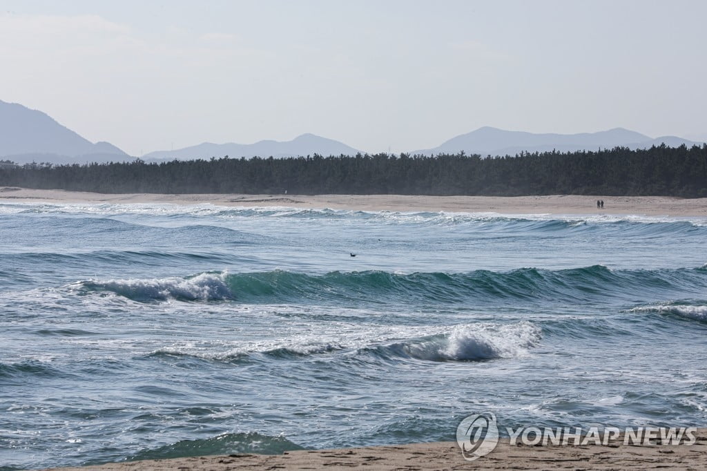 강원 동해, 올해 한반도 최대 규모 4.5 지진