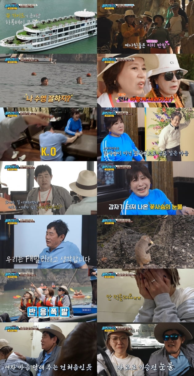 /사진=JTBC '뭉뜬 리턴즈' 스페셜 배낭여행 '꽃보다 경규' 방송 화면
