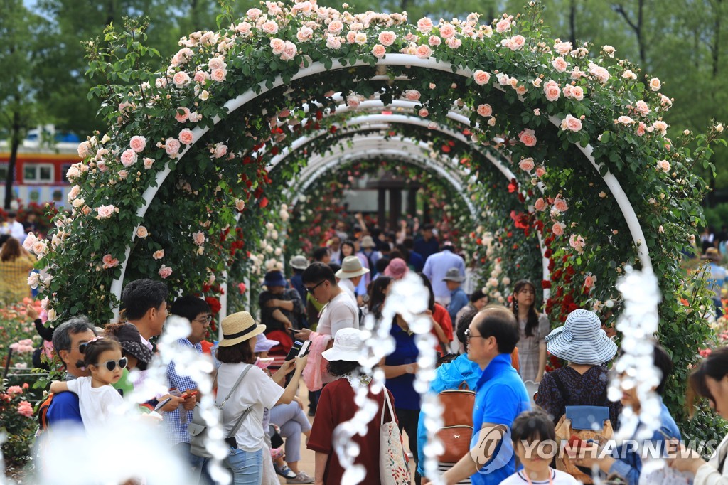 "수십만송이 활짝"…곡성 세계장미축제 개막