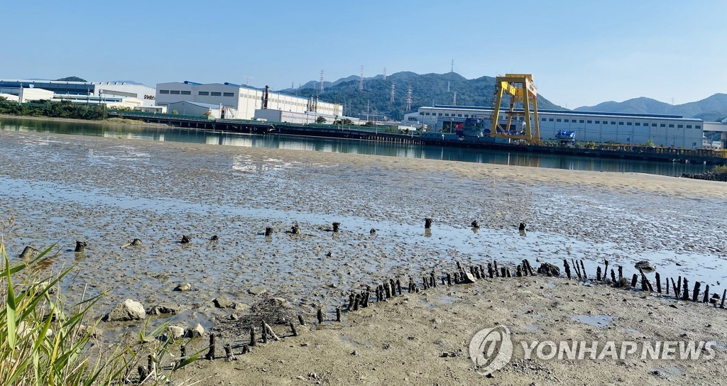 "생명의 마산만 함께 만들어요"…민관산학협, 바다의날 기념행사