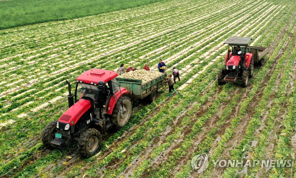 中중앙정부, 농촌간부 수만명 첫 직접 교육…"풀뿌리 통제 강화"