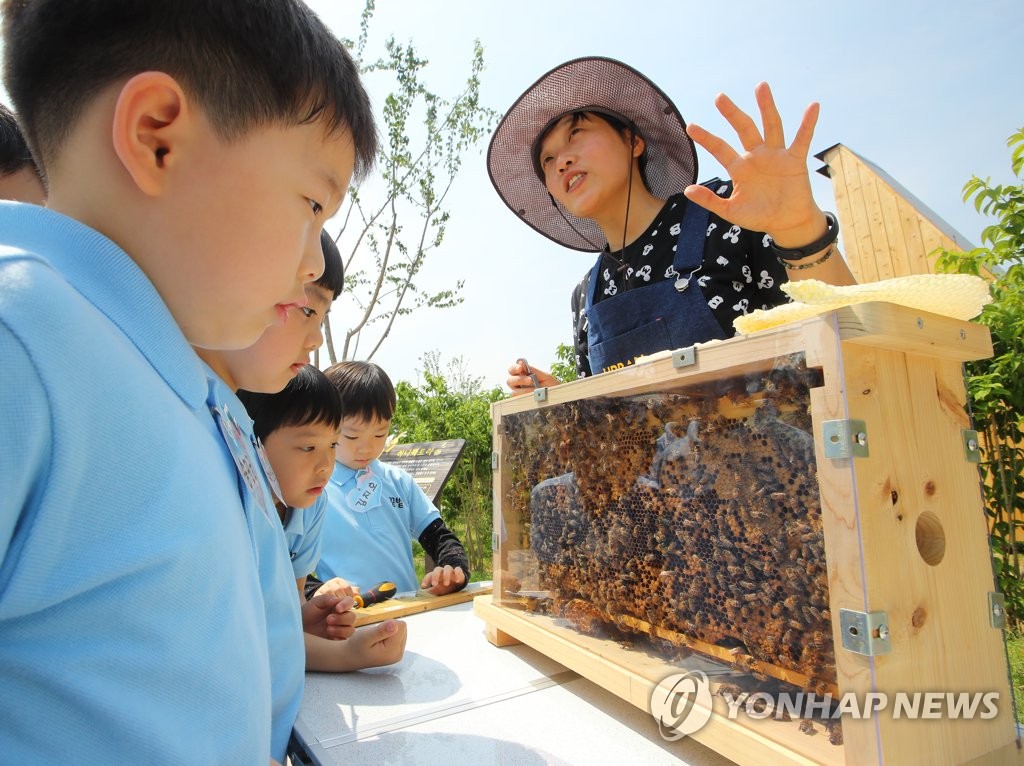 서울시, 무농약·친환경 방제 강화…"꿀벌 보호"
