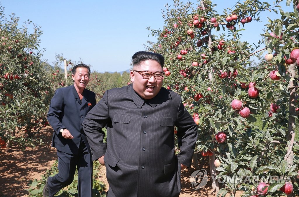 북한 "과일 생산량만 중요한 게 아냐…우량품종 재배 늘리자"