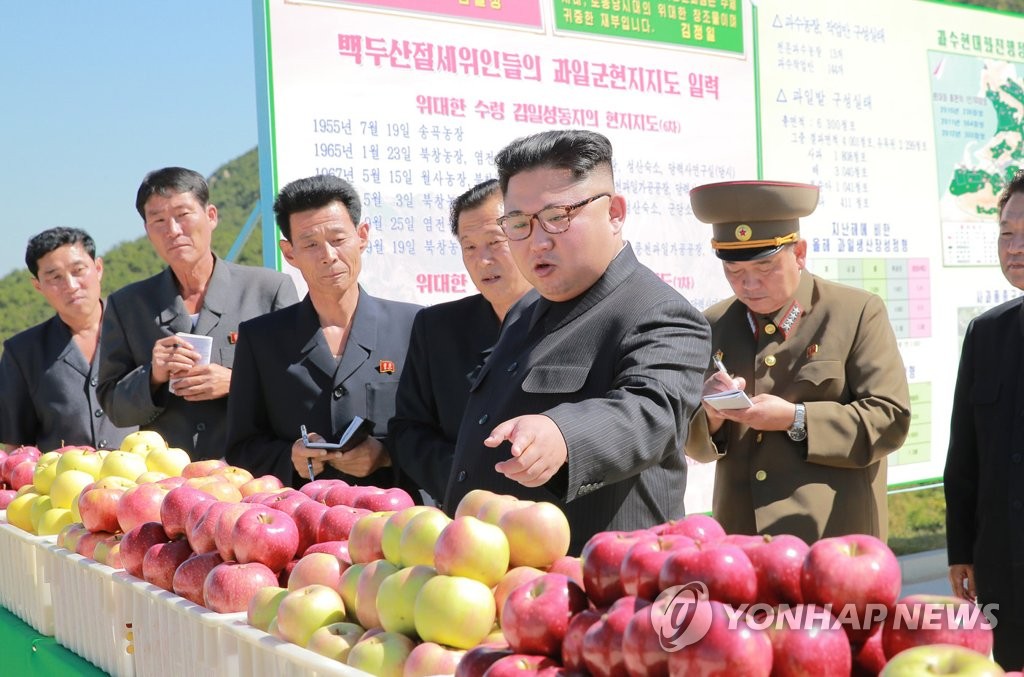 북한 "과일 생산량만 중요한 게 아냐…우량품종 재배 늘리자"