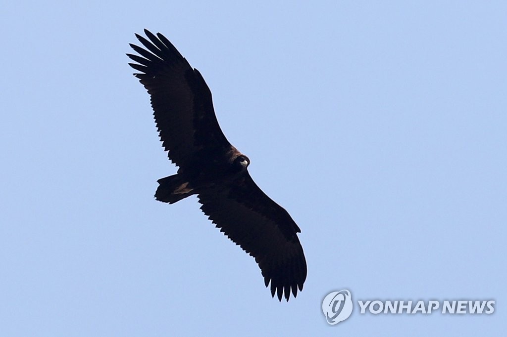 10대 자녀는 왜 위험한 행동을 할까…신간 '와일드후드'