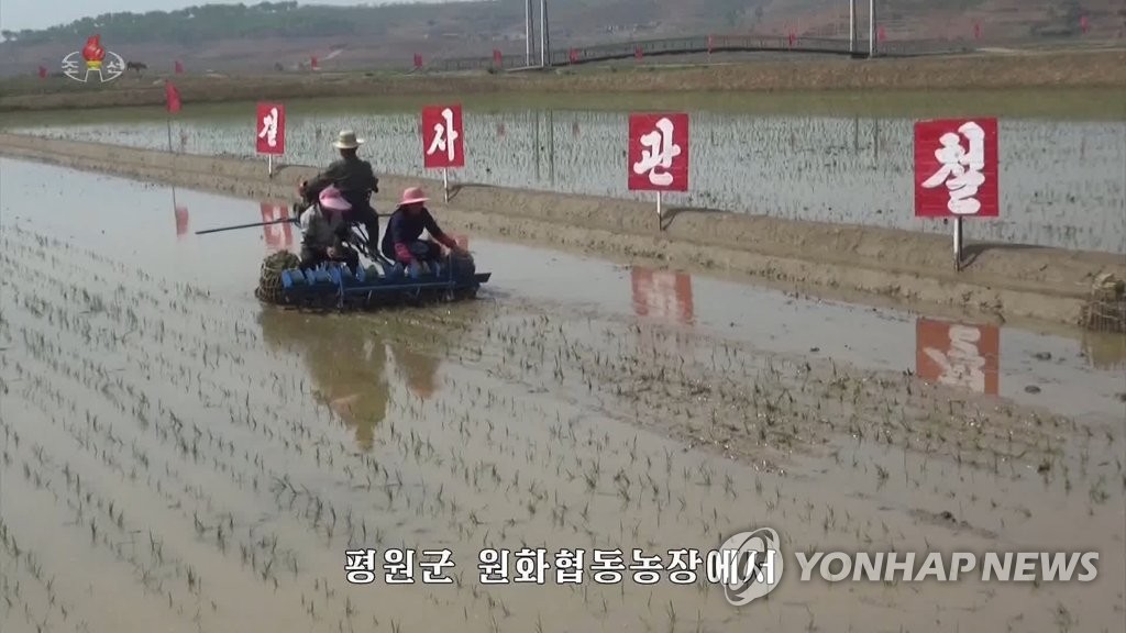 북 영화농장서 올해 첫 모내기…옥수수 심기는 마무리 단계