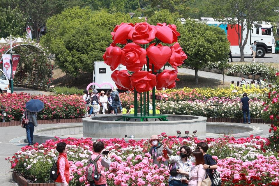 '300만 송이 향기 만끽'…울산대공원 장미축제 24∼28일 개최