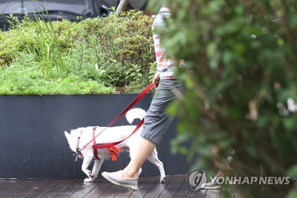 강아지 산책에 화분 물주기…고물가에 '짠내나는' 여행 숙박