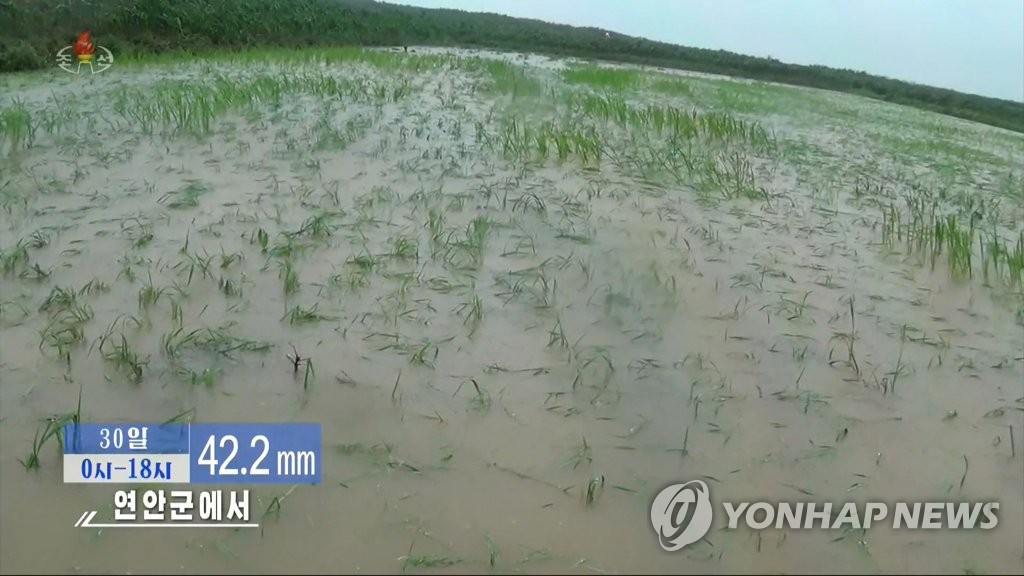 북한, 가뭄에 이어 폭우 걱정…모내기 앞두고 날씨에 '촉각'