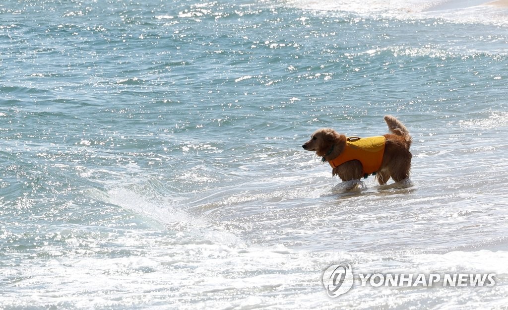 강원 맑고 미세먼지 좋음…"일교차 커 건강관리 유의"