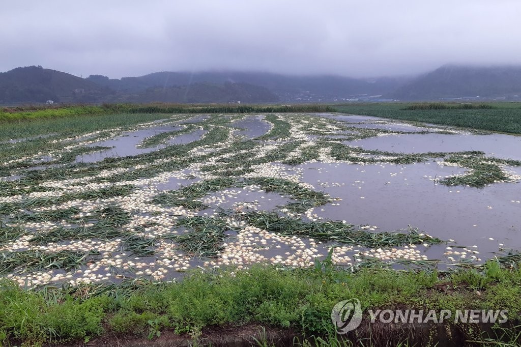 비바람에 남부 피해 속출…지하철역 물차고 하늘·바닷길 막혀