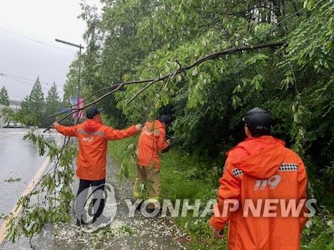 대전·충남에도 사흘째 많은 비…전신주·가로수 곳곳서 쓰러져