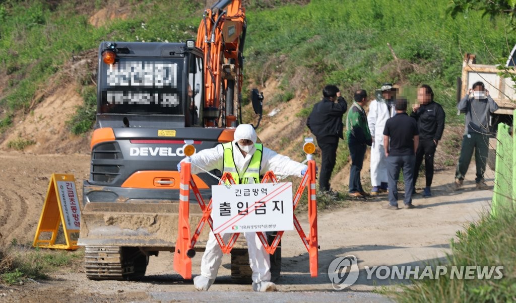 청주 구제역 발생 농장 인근에서 추가 의심신고