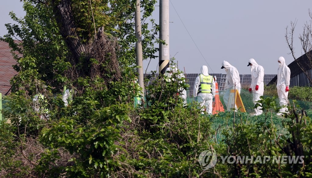 구제역 발생 3건 추가돼 총 10건…염소농장서도 확인