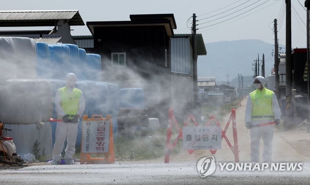 청주서 발생한 구제역, 국내 백신으로 방어 가능…해외유입 추정