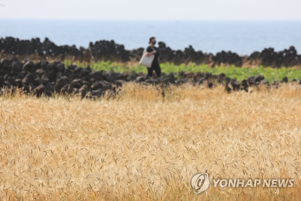 제주 대체로 맑음…낮 기온 22∼28도