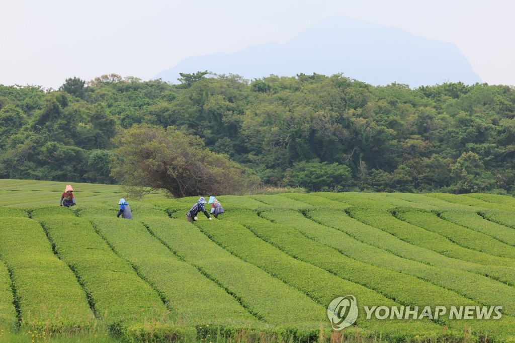 제주 대체로 맑음…낮 기온 21∼22도