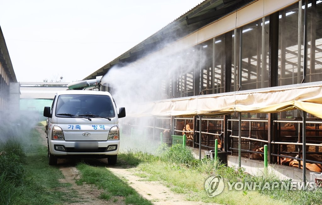 4년만의 구제역 전국 확산 막는데 특교세 5억원 지원