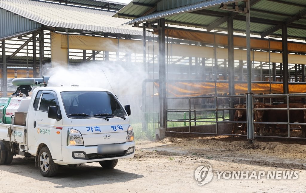 구제역 발생 청주·증평지역 소 도축장 출하 제한 1주일 연장