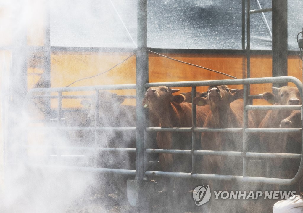 전국 최대 양돈지역 충남, 구제역 유입 방지 행정력 집중