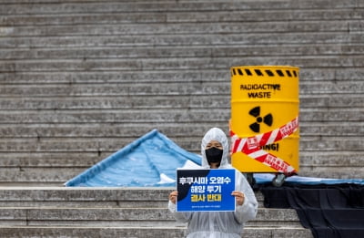 정부 "후쿠시마 시찰단, 안전 규제 분야 최고 전문가로 꾸린다"