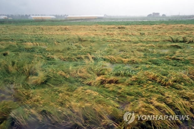 전 지역 호우특보 해제…막혔던 하늘·바닷길 다시 열려