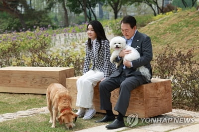 尹 "새롬이 아빠입니다" 김여사 "아이 가졌다 잃고 입양 시작"