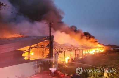 전북 김제 물류센터 불…4억9천만원 피해