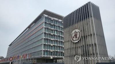 정부, 북한의 WHO 집행이사국 선출에 "깊은 유감과 우려"